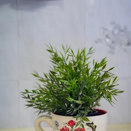 The Garden #x005 Feel Greek * 尼亚伊拉克利亚