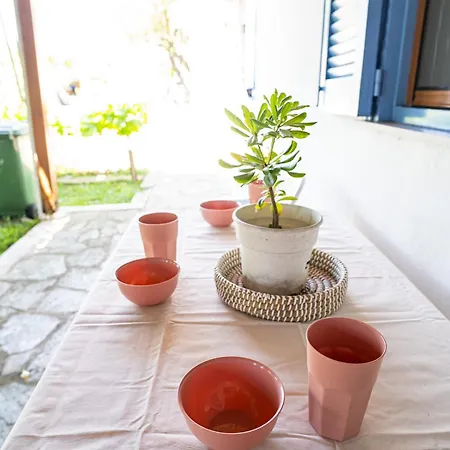 The Garden #x005 Feel Greek *